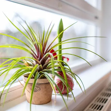 Albrechtshof アパートホテル 3*