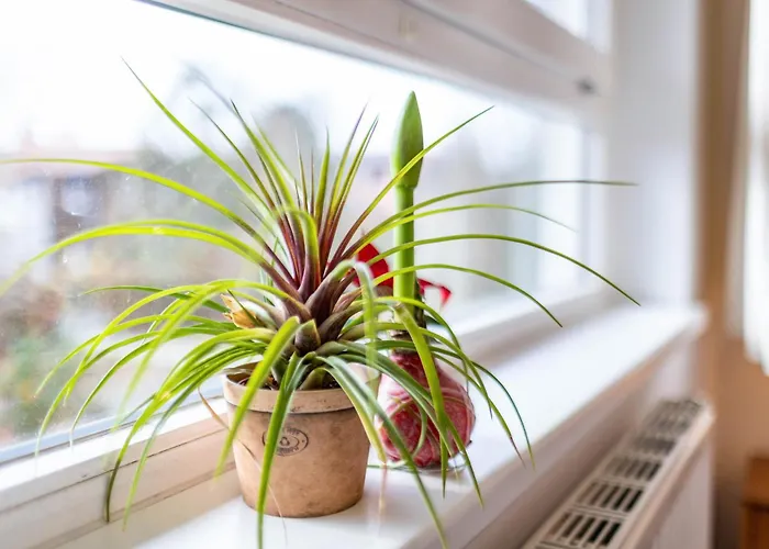 Albrechtshof شقة فندقية 3*